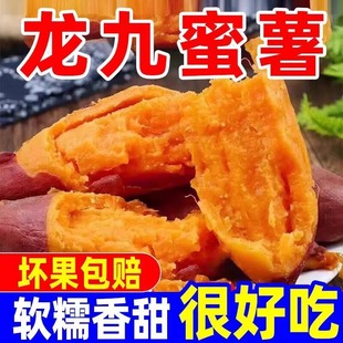 ����ɳ�����żt��5���������r���������r�ҬF�ڬF�l���ع�ɽ��