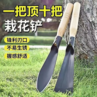 ��Ұ�˵�С�P�����j�������P���ڲˈ@ˇ�N�����߳��������β�����