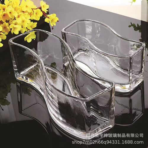 Hydroponic plants glass bottle square cylinder simple vase transparent green radish water lily copper money grass water culture flower pot utensils ornaments
