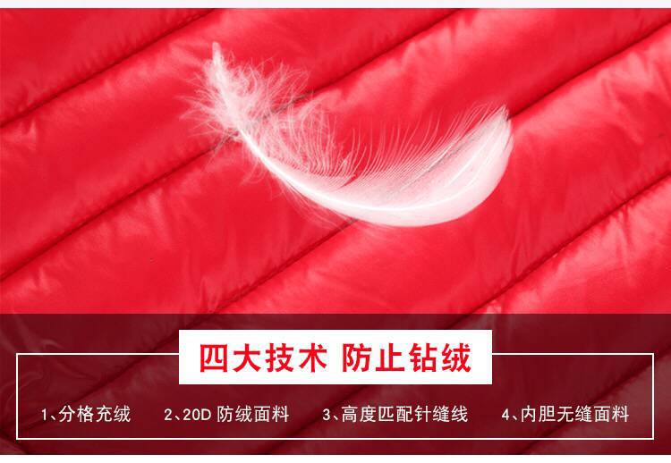 E6E679F58DF2AD286F68B36085D6E5