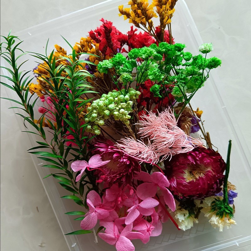 Festival bricolaje hecho a mano material de flor eterna planta flor seca florero flotante aromaterapia flor seca abanico de material paquete al por mayor