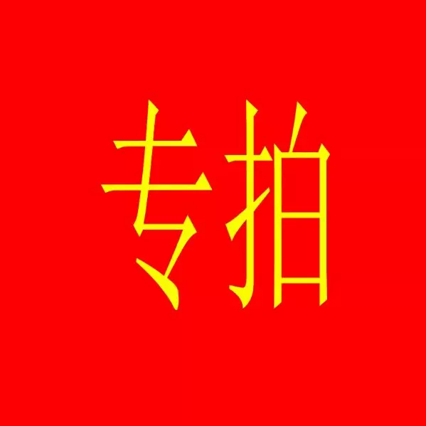 定金尾款专用链接