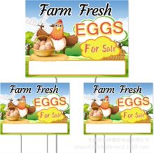 �羳�¿�R�d�пհ�V�����r���u�����ۘ�־��ƺ�b�ͥԺ�ز���