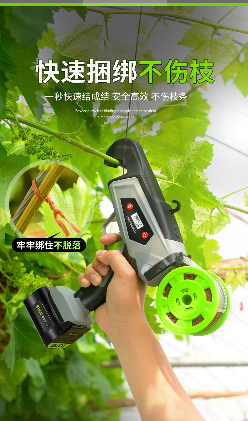 O1CN01C7XLfI1bIU65HhZsj_!!9402