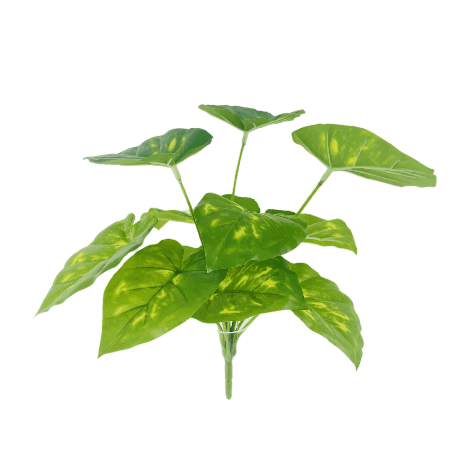 仿真綠植廠家直銷 單支9頭深淺龜背葉白掌菱角青蘋果葉 可插盆栽