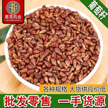 ��ș�����l������������؛�����џo�������ѷ� �a��؛Դ ����ă�