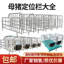 母猪定位栏怀孕猪用定位栏热镀锌公猪限位栏母猪产床配件养猪设备