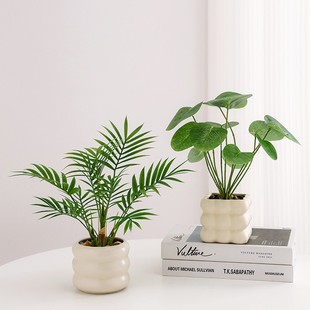 Qingkai simulation green plant artificial flower ornaments tortoise leaf small potted office desktop room living room coffee table plant furnishings