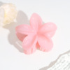 Crab pin, fresh universal hair accessory, human head for adults, flowered, simple and elegant design, wholesale