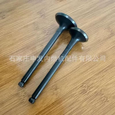 exhaust valve 1125520520 – Valves and components
