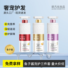 特黛鱼子酱洗护套装定制清爽洗发露改善毛躁护发素香水沐浴露OEM