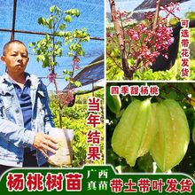 ����Ҙ���������ļ�����Ҙ���޽����ļ��Y���������Ԯ���Y��