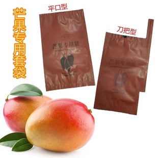 Special Bagging for Mangoes, Golden Mango Paper Bags, Bird-Proof, Insect-Proof, Ivory Mango Fruit Bags, Kate Bags