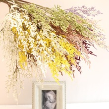 ��֦4����ĭ���˲�޹�²� �ɻ����滨�ٻ� �Ҿӻ�c�zӰ�����b�