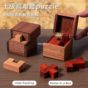 Level 10 Brain-Burning Apentagmpuzzle Same Style as Tiktok Box Toy-Level Decryption and Decompression Difficulty Free Shipping