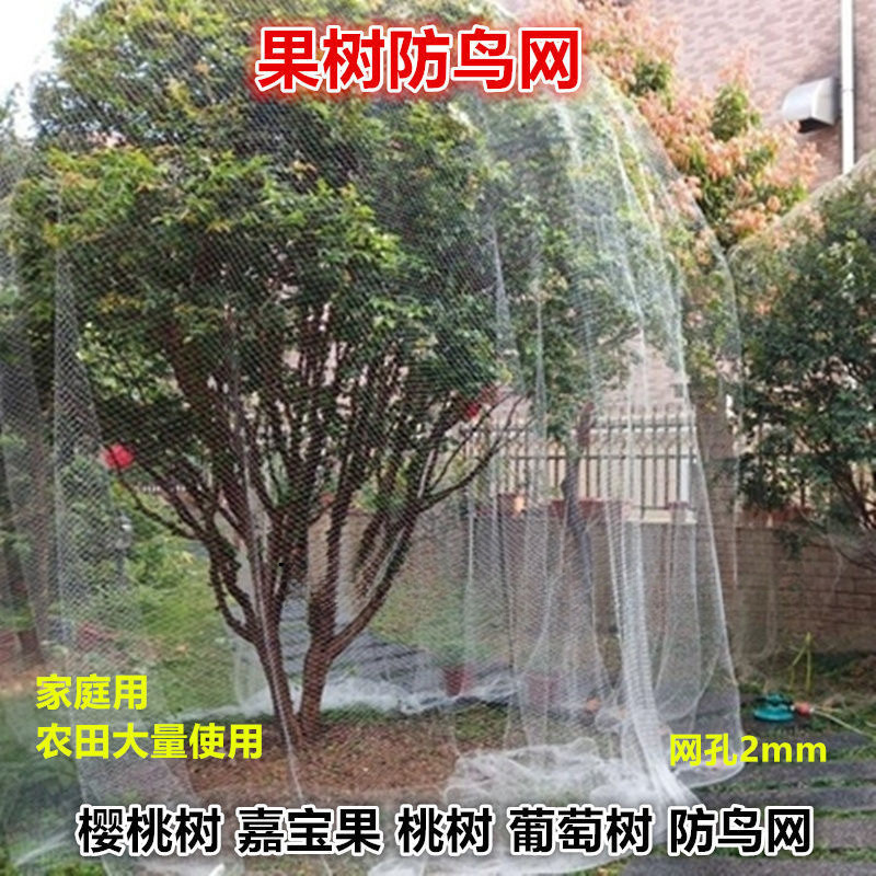 *果树专用防鸟网樱桃树葡萄蔬菜防护罩尼龙网网罩果子防鸟网子批
