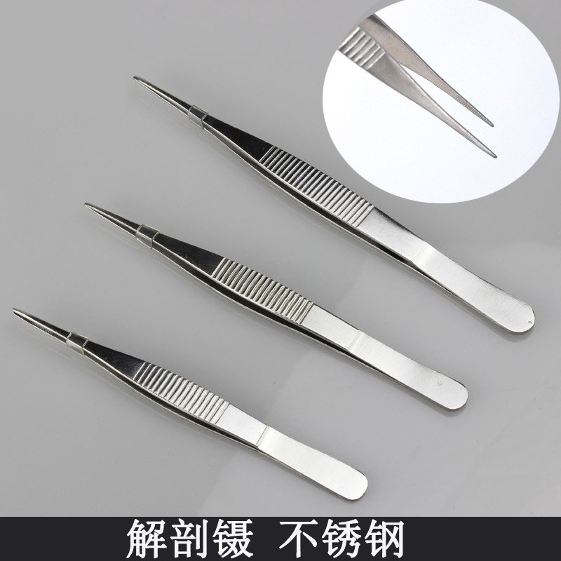 不锈钢解剖镊子尖头镊125mm尖嘴镊有齿镊实验室镊剥洋葱夹持钳细