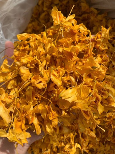 Yunnan Drumstick Dendrobium Flower New Arrival Iron Sheet Drumstick Dendrobium Flower Sky Seed Orchid Herbal Tea Supply Bulk Wholesale