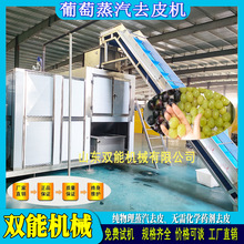 双能 大型全自动黄桃去皮设备 多功能白桃葡萄 蒸汽去皮机 烫皮机