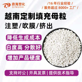 越南碳酸钙填充料 PP塑料注塑拉丝填充母料PE吹膜注塑 填充母粒