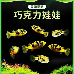 �ɿ��������~�������΁�x���ǻ��w��ˮͧ�ݸ׌���С�͟Ꭷ�^�p�~