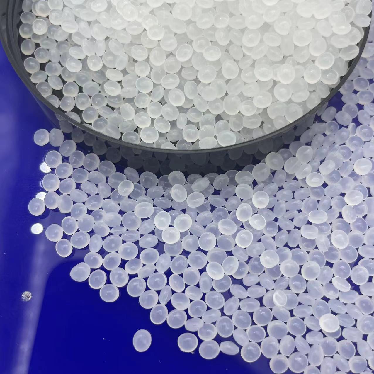 微信图片_20240912205634