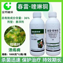 ��ֲ������36%��������~���٘䝢ꖲ�����ù���rș����������