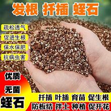 ��ʯ�@ˇǤ���B�������w���������������¼�����l�����|�Nֲ����