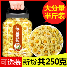 白菊新花杭桐乡官方店菊花茶干去火杭菊枸杞