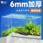 yee亚马逊养鱼客厅造景