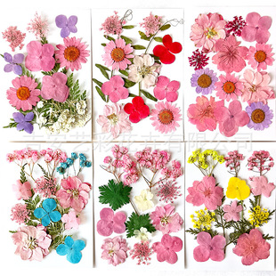 Cross-Border Dried Flower Embossing Material Package Hand Account Embossed Photo Material DIY Glue Photo Frame Sticker Bookmark Material
