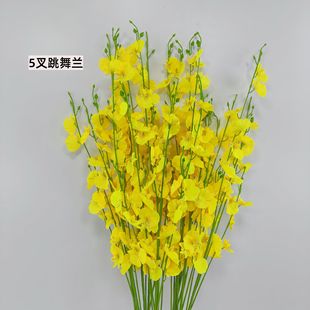 ���������m 5�������m �����쾰��乤���Ĕz���� ���Q�ٻ����l