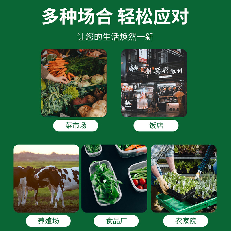 Moth Trap, Moth Trap, Moth Trap, Moth Trap, Moth Trap, Indian Grain Rice Noodle Moth Trap, 1 Piece