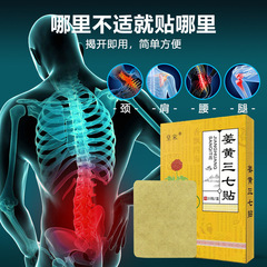 Turmeric and Panax Notoginseng Heat Therapy Patch for Neck, Shoulders, Waist, Knees - Body Care for Muscles, Bones, and Joints, Same as TV Commercial Model