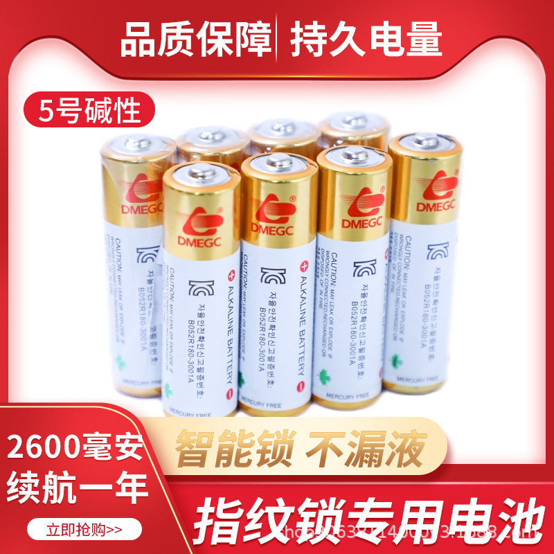 Dmegc Dongci Group No. 5 and No. 7 Batteries, Platinum Alkaline Batteries, Special Electronic Batteries for Remote Controls, Toys, and Alarm Clocks