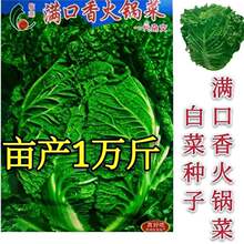 偰ײ˷N＾~o߮aA\~ײ߷N