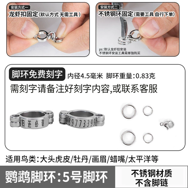 [Big-headed tiger skin/peony/thrush, etc.] No. 5 stainless steel anklet (the buckle does not hurt the feet)