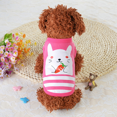 Teddy Puppy Teacup Dog Panda Cat Dog Clothes Yorkshire Pomeranian Small Dog Pet Dog Spring and Autumn Style
