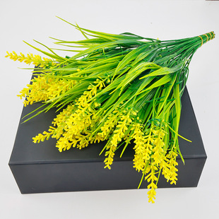 �羳 ޹�²ݴ��� ����Gֲ ����ֲ������ٲ����ϸ���ֲ���b�