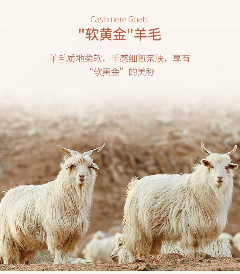 美丽奴羊毛打底面料