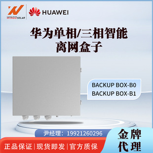 Huawei Huawei и отделен от однофазного/трех этапов веб-блока, а также поле для управления сетью Box-B-B0/B1