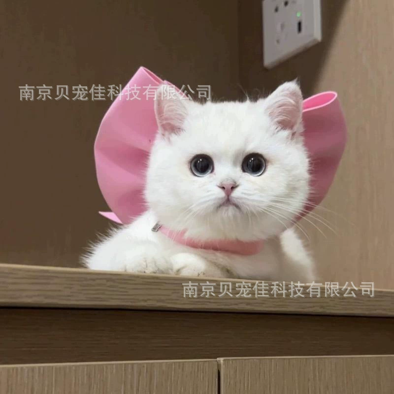 Кошка Мэри Бант Домашнее животное-бабочка кошачье ожерелье украшение