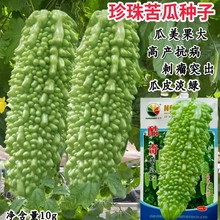 �����������������紺�＾�������ũ�ҷ������΢�ഺ���Ϲ���