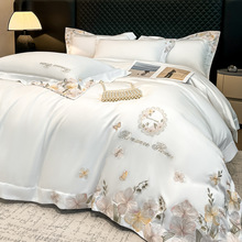 �ļ��W�����m����z�����ļ����p�ݸ߼��Л��л�߅���״��δ���Ů