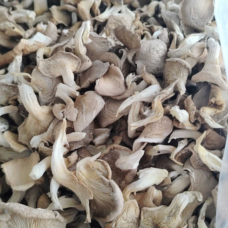 平菇干货新货真姬菇蘑菇农家凤尾菇特产净重煲汤食用菌批发整箱