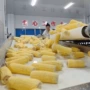 鲜食玉米甜玉米棒流水线