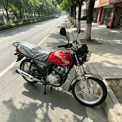 Reinforced Cargo Rack for Carrying Goods – Motosikletlər