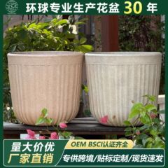 家用大号绿植大花盆塑料花盆客厅天堂鸟专用盆栽轻奢高级感盆