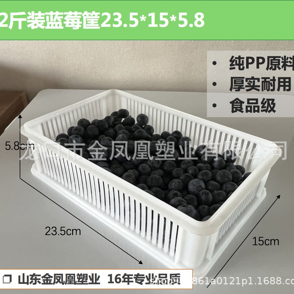 供应金凤凰食品级蓝莓盒树莓盒塑料盒尺寸23.5*15*5.8厘米重80克