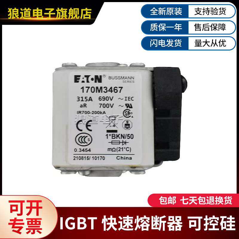 熔断器美国伊顿巴斯曼170M3466 170M3467 170M3468 170M3469